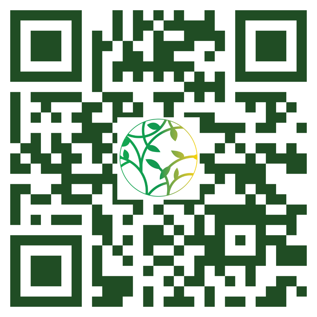 QR Code WhatsApp
